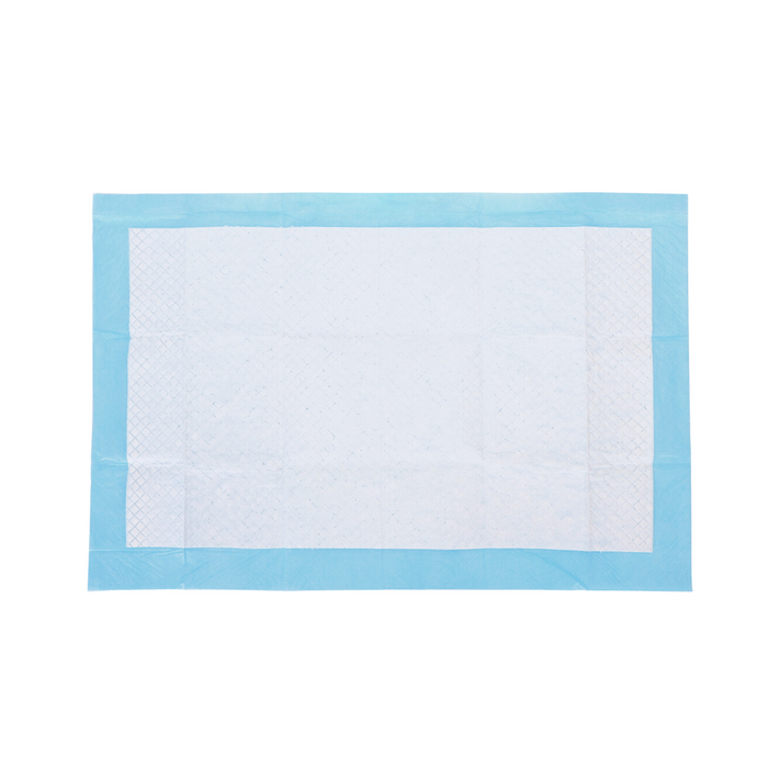Tapete Resguardos Higiênicos com Adesivos Tamanho S 60 x 40 cm Pack de 10 Unidades