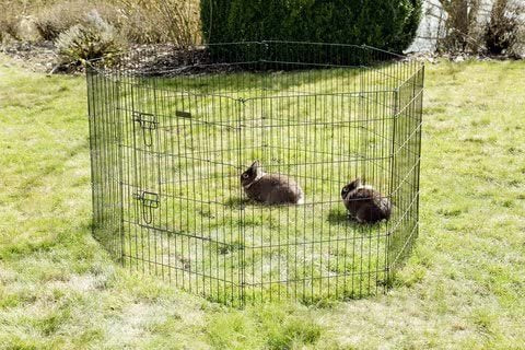Parque para animais de estimação com 8 painéis 78 x 57 cm - 1 porta - Vendas E Afins - KERBL