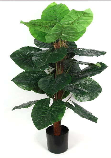 Planta Artificial com Vaso Alocasia Odora 125 cm