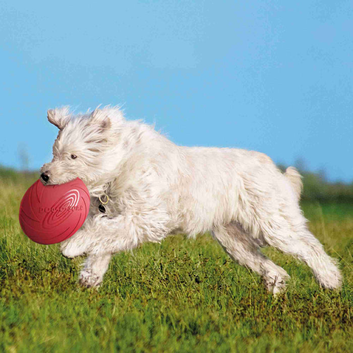 Trixie brinquedo para cão disco/frisbee flutuante em borracha natural ø 22CM - Vendas E Afins - TRIXIE